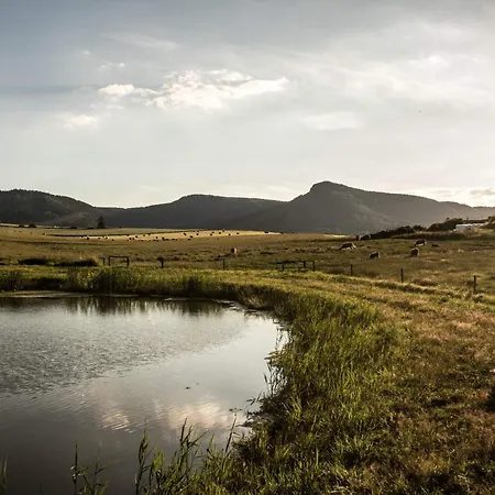 Restaurace Na Krizovatce * Bozanov